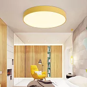 H&R安室家 40cm小圓圓智能LED吸頂燈ZA0206 (附遙控器可調明暗及色溫 ) 黃