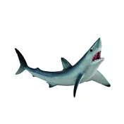 【永曄】collectA 海洋生物-尖吻鯖鯊 R88679