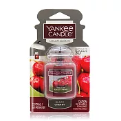 YANKEE CANDLE Car Jar ULT車用/室內 芳香劑吊飾 黑櫻桃Black Cherry