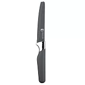 《TaylorsEye》Shield削皮蔬果刀(灰12cm) | 切刀 小三德刀