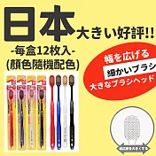 【DR.Story】日本外銷質感優質倍護寬幅牙刷-12入 (牙刷 加寬牙刷)  12入/盒
