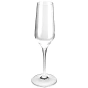 《Pulsiva》Elektra香檳杯(230ml) | 調酒杯 雞尾酒杯