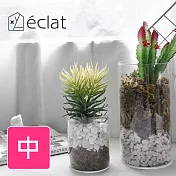 【?clat】仿真多肉療癒DIY玻璃盆栽/桌面裝飾擺設_ 中