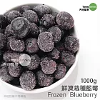 【天時莓果】酸甜戀愛滋味の鮮凍栽種藍莓 1000公克（夾鏈袋包裝）