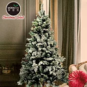 摩達客★6呎/6尺(180cm)頂級植雪擬真混合葉聖誕樹 裸樹(不含飾品不含燈)本島免運費