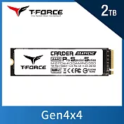 TEAM 十銓 T-FORCE CARDEA A440 Pro Special Series 2TB M.2 PCIe4.0 SSD 固態硬碟