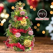 摩達客耶誕_台製迷你1尺(30cm)裝飾聖誕樹(木質雪花系)+LED20燈銅線燈(暖白光/USB電池兩用充電)(本島免運費)