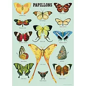 美國 Cavallini & Co. wrap 包裝紙/海報 鳳蝶科(藍底) Papillons