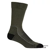 【紐西蘭Icebreaker】男 中筒薄毛圈健行襪(+)- M 橄欖綠/黑