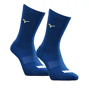 Mizuno Socks [12TX9U5116Q] 棒壘襪 中統襪 背號窗 毛巾底 耐磨 運動 25-27cm 寶藍 FREE 藍/黃