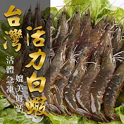【愛上新鮮】台灣活力鮮白蝦3盒(250g±10%/盒)