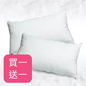(買一送一)【花季】優雅生活-五星飯店專用款羽絨枕頭(20%羽絨)