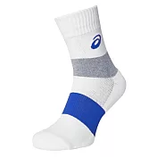 Asics Socks [Z11901-0153] 中筒襪 運動 排球 厚底 透氣 耐磨 中強度 支撐 加壓 白藍 S 白/藍