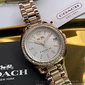COACH蔻馳精品錶,編號：CH00093,34mm圓形香檳金精鋼錶殼白色錶盤精鋼香檳金錶帶