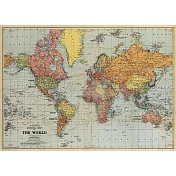 美國 Cavallini & Co. wrap 包裝紙/海報 世界地圖1