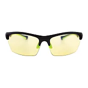 【BRENNER】Aether 抗藍光和眩光 太陽眼鏡- 香檳綠膠框