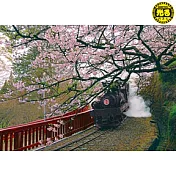 【台製拼圖】K25-006 夜光-阿里山火車夜光 (520片)