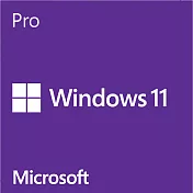 Microsoft 微軟Win Pro 11 繁中專業64位元隨機版