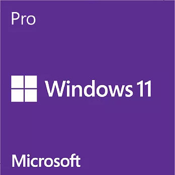 Microsoft 微軟Win Pro 11 繁中專業64位元隨機版