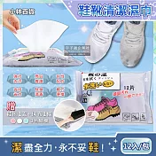 (買1送2超值組)日本小林百貨-免水洗去污亮白鞋靴專用清潔擦拭濕巾12入x1包(加送抹布1條+鞋刷1支)