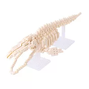 【日本 Kawada】Nanoblock 迷你積木-NBM-010 藍鯨骨架模型
