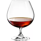 《TESCOMA》勃根地水晶紅酒杯(700ml)