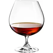 《TESCOMA》勃根地水晶紅酒杯(700ml) | 調酒杯 雞尾酒杯 白酒杯