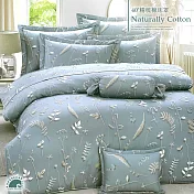 【幸福晨光】40支精梳棉雙人六件式兩用被床罩組 / 空藍沐葉 台灣製