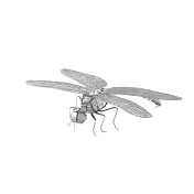 【nano 金屬拼圖】TMN-32 昆蟲系列-蜻蜓