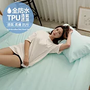 【BUHO布歐】日系防水防蹣5尺雙人床包被套四件組 《湖水綠》