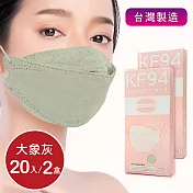 韓版4D口罩 醫療級 魚型口罩 KF94成人立體口罩 (20片/2盒) 台灣製造 魚形口罩- 大象灰