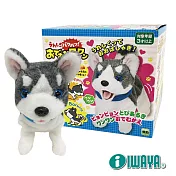 【IWAYA】大甜甜-哈士奇~日本暢銷電子寵物