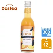 Zestea 檸檬薄荷康普茶-12 瓶(無添加、富含益生菌)