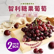 【優鮮配】智利空運無籽糖果葡萄2盒(500g/盒)免運組