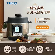 TECO東元 微電腦萬用壓力鍋 YC1201CB