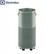 Electrolux 伊萊克斯 ~29坪 Pure A9.2 高效能抗菌空氣清淨機-海洋綠 EP71-76GRA