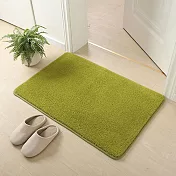【巴芙洛】日式簇絨超吸水防滑踏墊/地毯/地墊/40*60CM 美麗絨綠色
