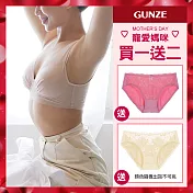 【日本GUNZE】買一送二 蠶絲蛋白抗敏保濕無鋼圈內衣(KB1155-CMB) M 膚