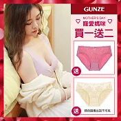 【日本GUNZE】買一送二 蠶絲蛋白抗敏保濕無鋼圈內衣(KB1155-SUP) M 粉