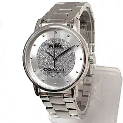 COACH 磨砂鏡面鋼錶帶腕錶─銀白
