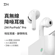 小米米家 ZMI紫米 PurPods Pro 真無線降噪耳機 TW100ZM