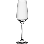 《Utopia》Risus香檳杯(200ml) | 調酒杯 雞尾酒杯