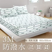 美國NINO1881 台灣製條紋鋪棉印花3M防潑水兩用床包保潔墊-雙人加大6尺(不含PFCs) 綠