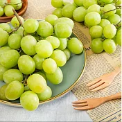 【買1送1】專業農 頂級脆甜進口綠無籽葡萄