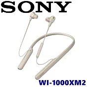 SONY WI-1000XM2 真無線入耳式 數位降噪藍芽耳機 2色 公司貨保固 12個用+12個月.  鉑金銀