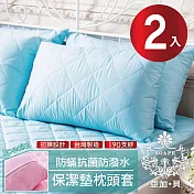 【AGAPE 亞加.貝】台灣製 <多款任選> 防潑水防蹣抗菌保潔枕墊 二入 天空藍