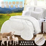 【AGAPE 亞加．貝】台灣製 超軟透氣專櫃等級金邊緹花羊毛被 雙人6x7尺
