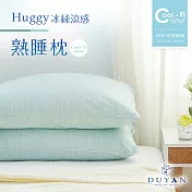 【DUYAN 竹漾】Cool-Fi Huggy 冰絲涼感熟睡枕 / 綠松花 台灣製