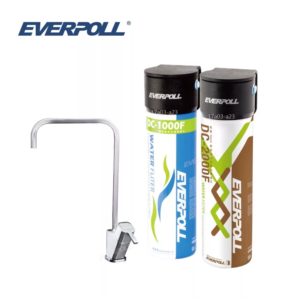 【EVERPOLL】全效完美版(淨水系統) (DCP-3004)
