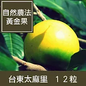 【一籃子】台東太麻里【自然農法黃金果】12粒